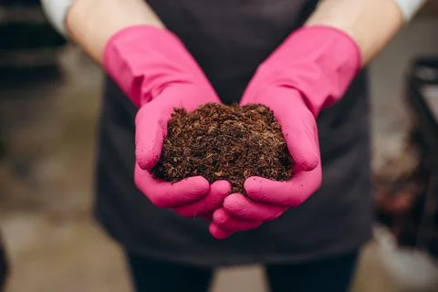 Image of soil in hands. Stock Photos