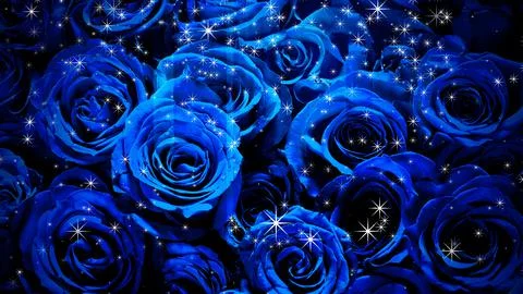 Image of sparkling roses on a background Stock Illustration