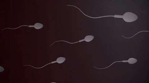 Image of sperm on a black background. Video stock 120793656