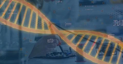 Image of spinning dna strand an data processing over female caucasian scientist Stock Photos