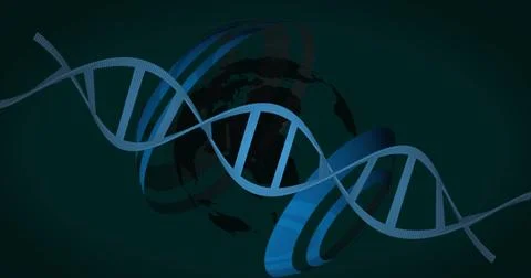Image of spinning dna structure and globe against green background 스톡 사진