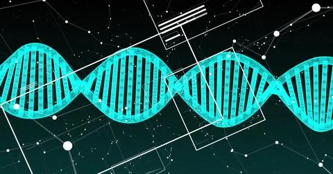 Image of spinning dna structure, network of connections and interface with data Stock Photos