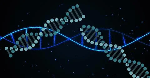Image of spots over dna strands Stock Photos