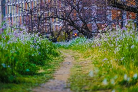 Image of Spring Trail Stock Photos