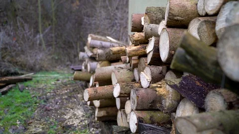 Image of stack of wood at countryside, Heuchlingen, Germany. Stock Footage 102646973