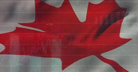 Image of statistical data processing against canada flag in background Foto stock