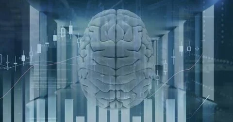 Image of statistics and financial data processing over human brain Stock Photos