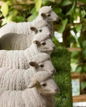 Image of statue sheep on nature background. Stock Photos