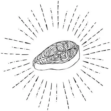 Image Steak of Red Fish Salmon in Sun Rays. Vector Illustration Isolated On a Stock Illustration