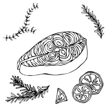 Image of Steak of Red Fish Salmon, Lemon and Herbs for Seafood Menu. Ink Vector Stock Illustration