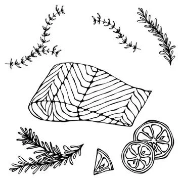 Image of Steak of Red Fish Salmon, Lemon and Herbs for Seafood Menu. Ink Vector Stock Illustration