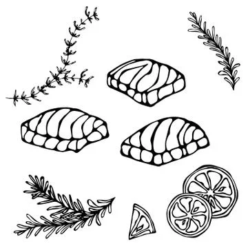 Image of Steak of Red Fish Salmon, Lemon and Herbs for Seafood Menu. Ink Vector Stock Illustration