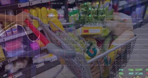 Image of stock market data processing over shopping cart full of groceries at Stock Illustration