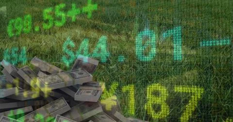 Image of stock market data processing against stack of dollar bills on the grass Stock Photos