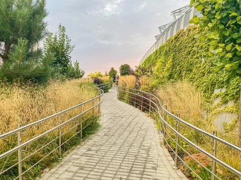 Image of a stone-paved pathway bordered by lush greenery and flowering plan.. Stock Photos