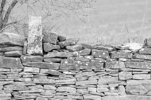 Image of stone wall in rural environment Stock Photos