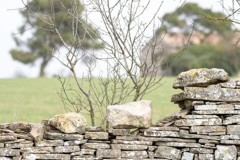 Image of stone wall in rural environment Stock Photos