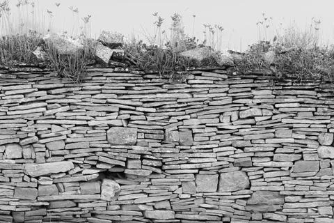 Image of stone wall in rural environment Stock Photos