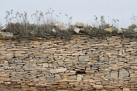 Image of stone wall in rural environment Stock Photos