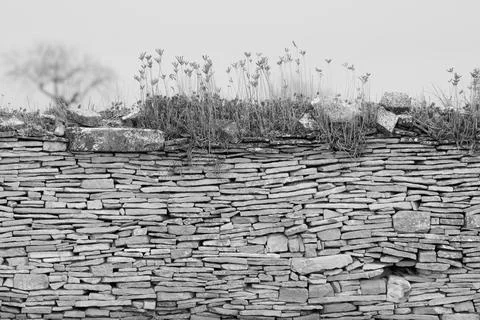 Image of stone wall in rural environment Stock Photos