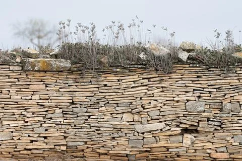 Image of stone wall in rural environment Stock Photos