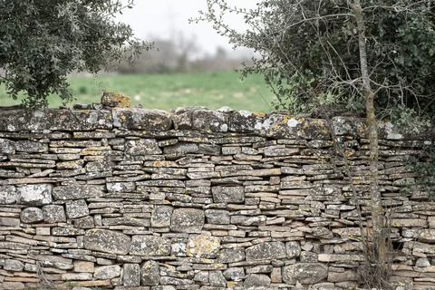 Image of stone wall in rural environment Stock Photos