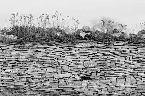 Image of stone wall in rural environment Stock Photos