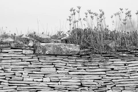 Image of stone wall in rural environment Stock Photos
