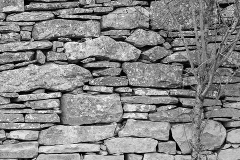 Image of stone wall in rural environment Stock Photos