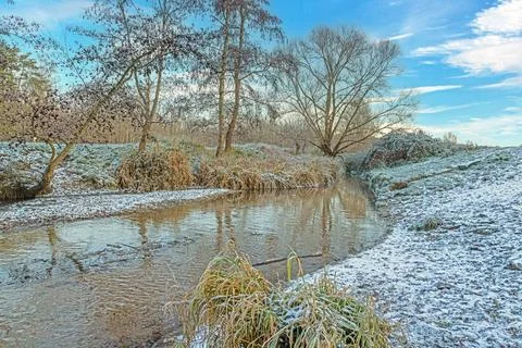 Image of a stream flowing through a winter forest Stock-Fotos