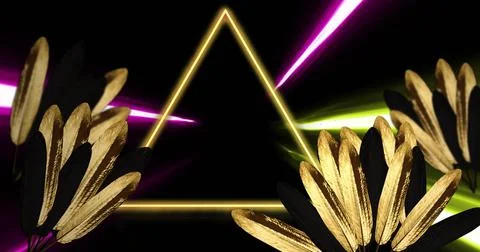 Image of strobing coloured light beams over neon triangle and plant leaves at Fotos de archivo