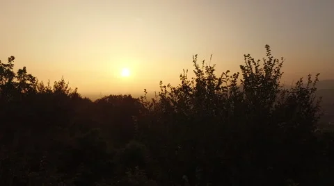 Image of the sunset through the trees Stock Footage 68766659