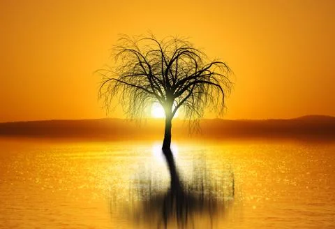 Image of sunset with tree reflection in water Stock Illustration