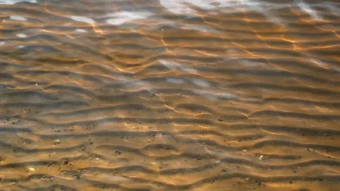 An image of the surface of water with sun glare.  Stock Footage 282775843