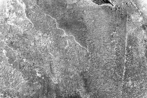 Image of Texture with scratches on gray background Stock Photos