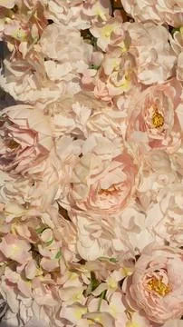 Image of a textured background of roses Stock Photos
