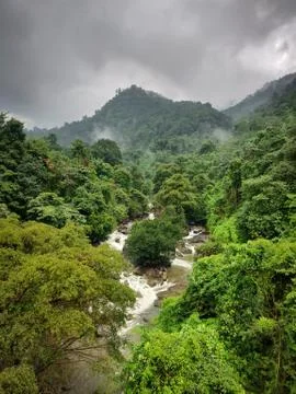 Image of Thusharagiri Falls between dense green forest in Wayanad, Kerala, In Stock Photos