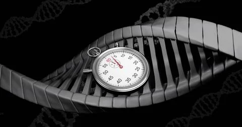 Image of timer moving over dna strands on black background Foto stock