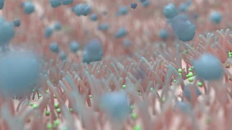 An image on the topic of microbiology and different biological forms of the b 库存插图