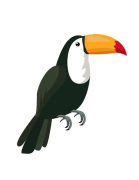 Image of a toucan Stock Illustration