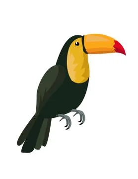Image of a toucan vector Stock Illustration