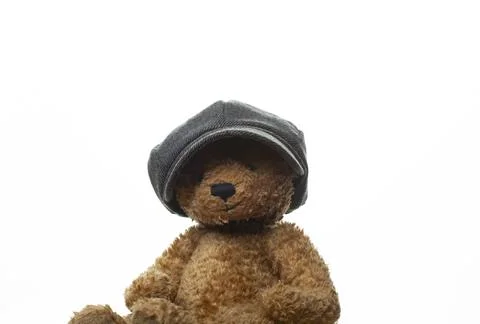 Image of toy bear cap white background 写真素材