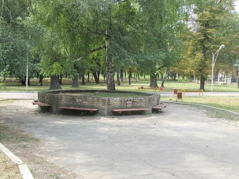 Image of a tranquil park with an empty raised platform, surrounded by trees A Foto stock