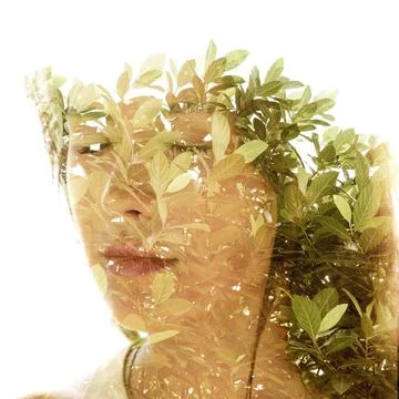 An image of a tree combined with a portrait of a young woman Stock Photos