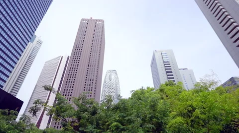 Image of trees vibrant business district Stock Footage 66656916