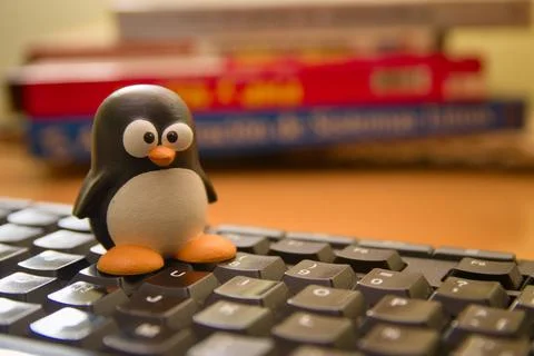 Image of a Tux penguin, emblem of the Linux operating system Stock-Fotos