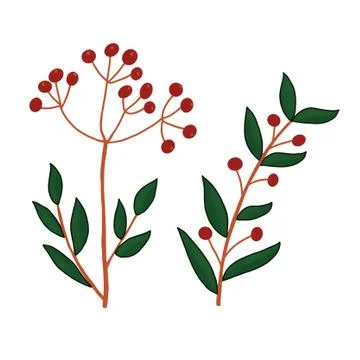 Image of twigs with small red berries and leaves Stock Illustration