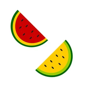 Image of two halves of watermelon yellow and red on a white background. Vector Stock Illustration