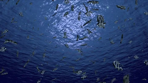 Image of value of USA dollar falls    bottom Video stock 10831416