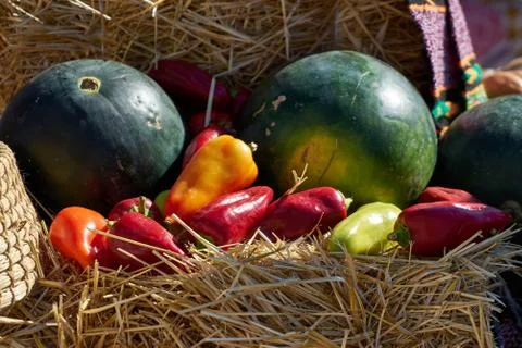 Image of various vegetables. Stock Photos